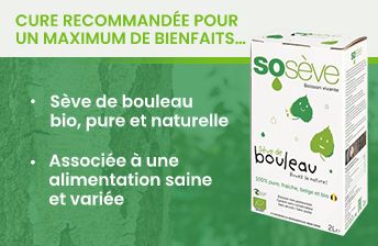 Cure recommandée des antioxydants naturels pour des bienfaits sur la santé